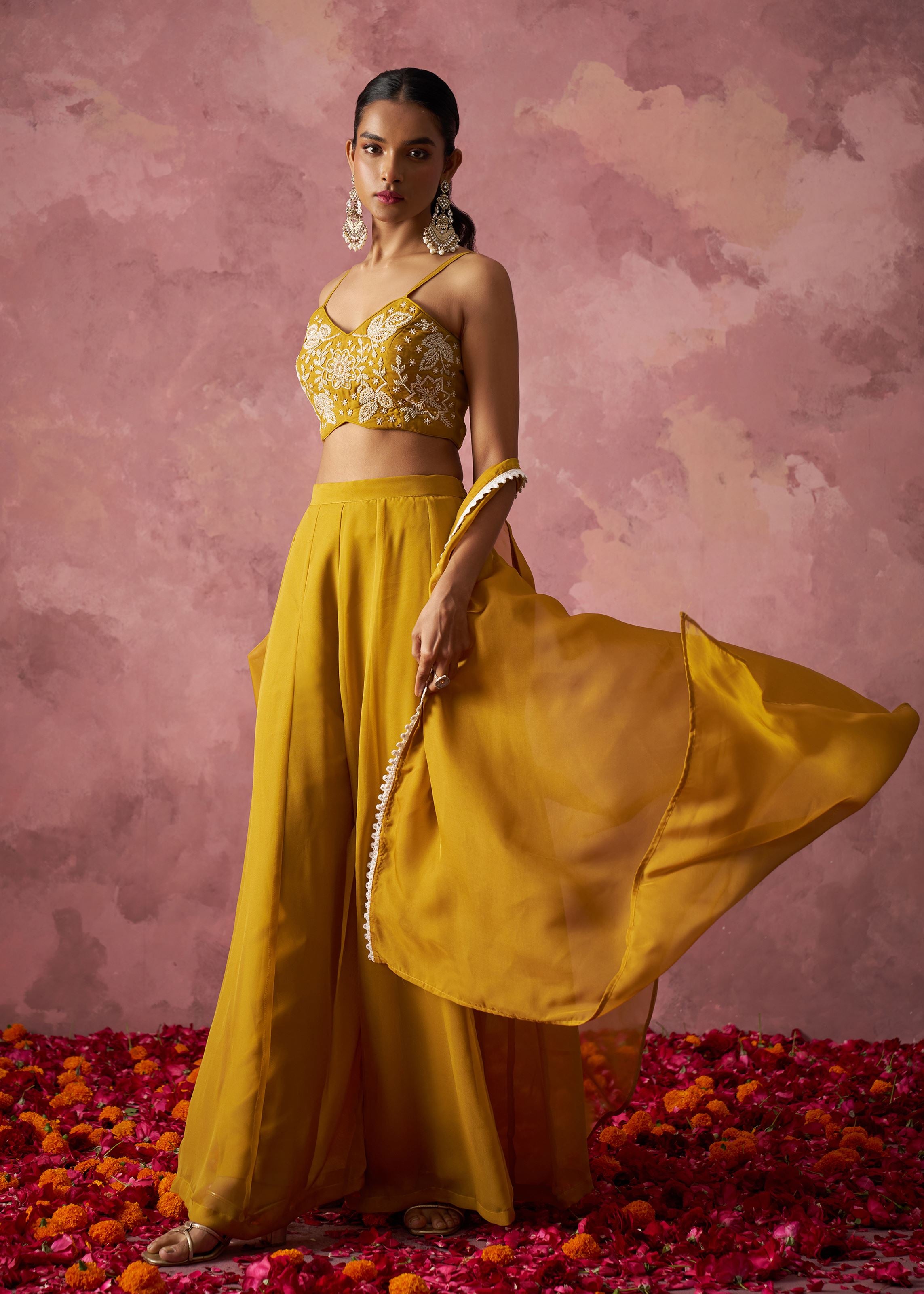Brown Net Lehenga with Sequins Jari Work