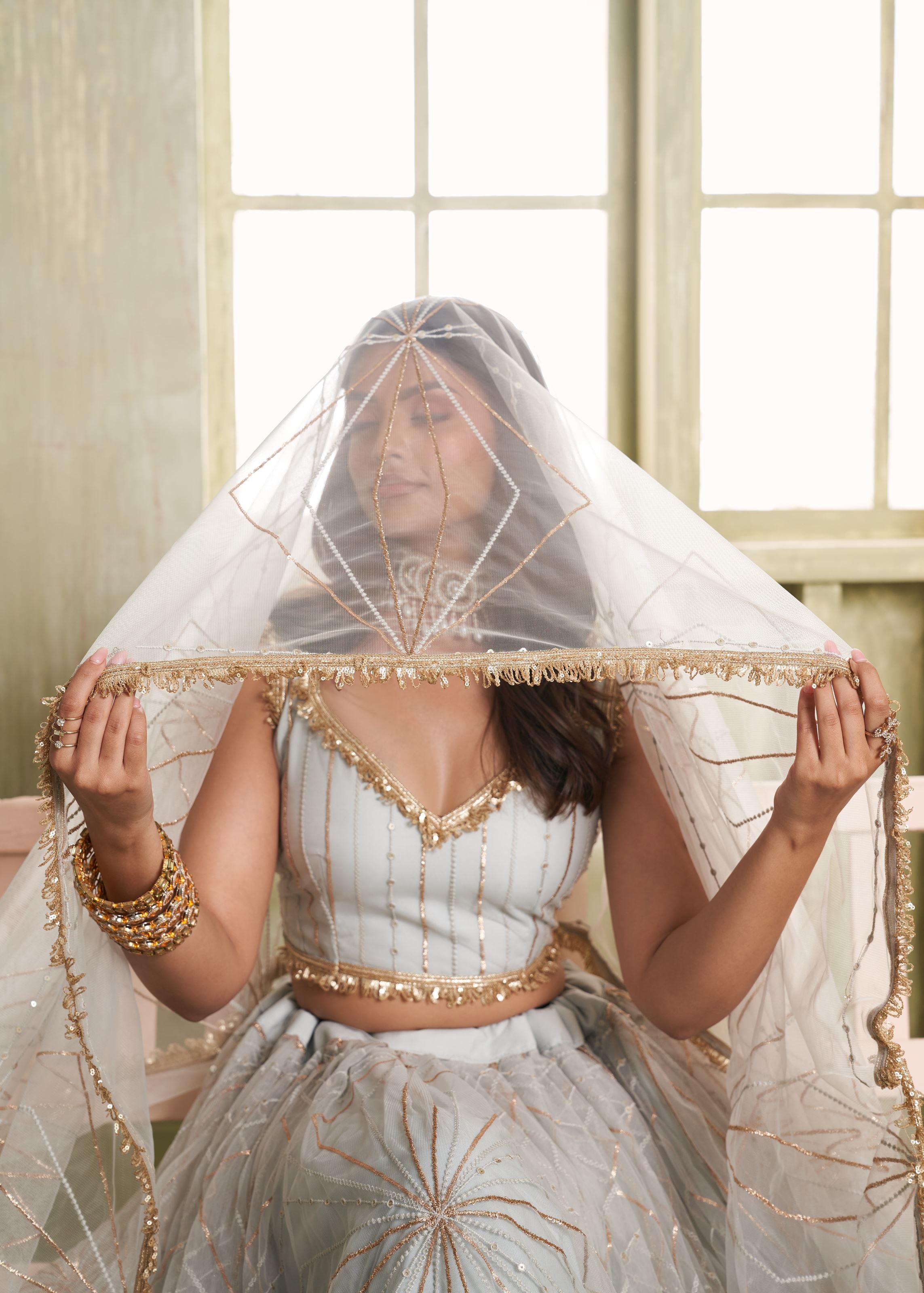 Light Grey Net Lehenga with Thread Zari Sequence Detailing
