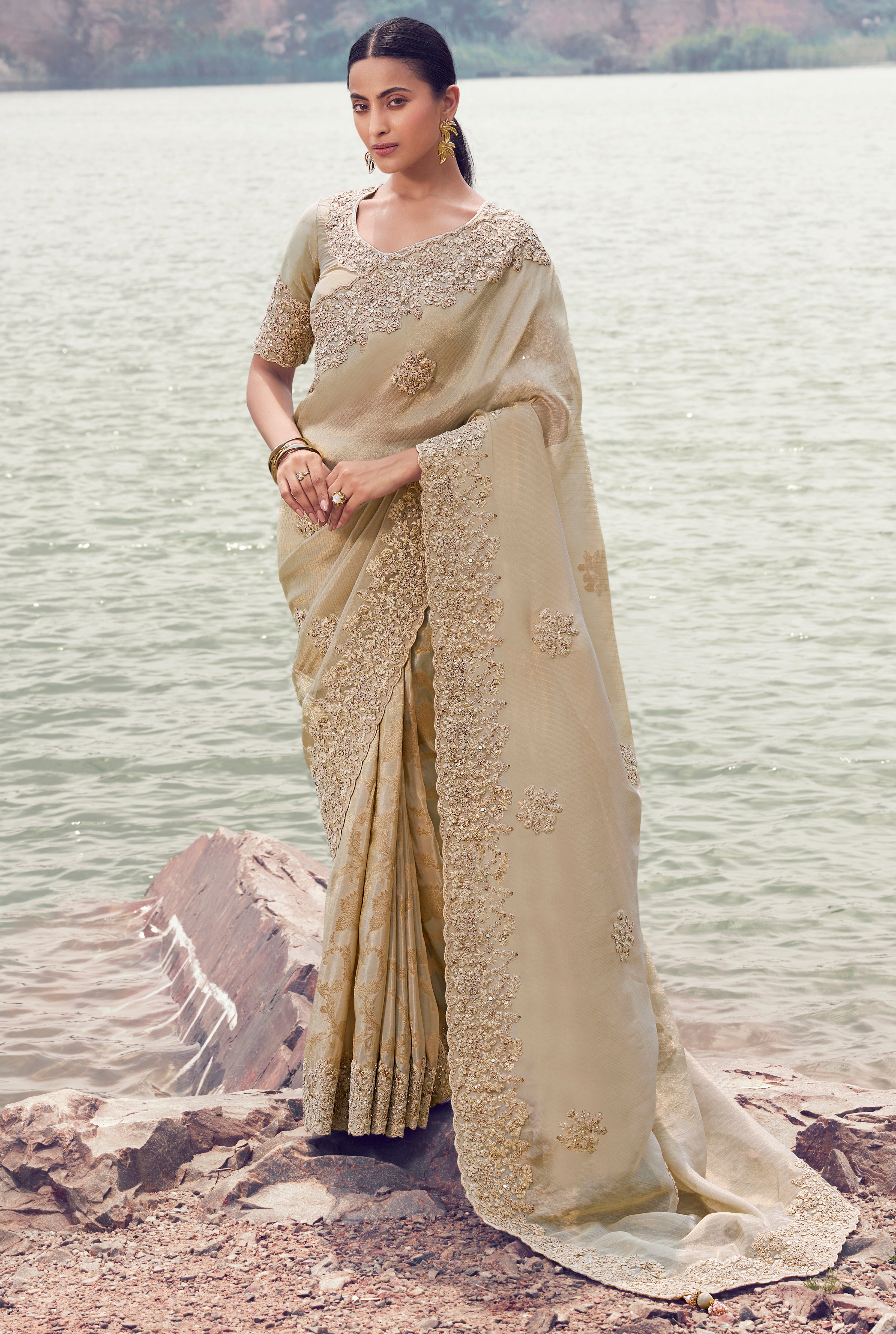 Beige Saree With Heavy Thread Embroidered With Sequins Work