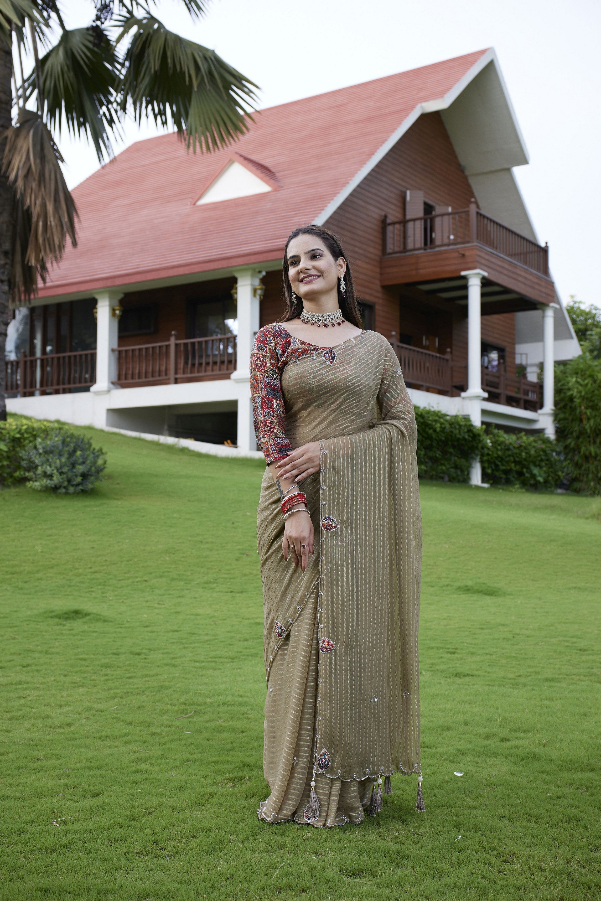 Brown Beautiful Designer Girlie Trendy Saree