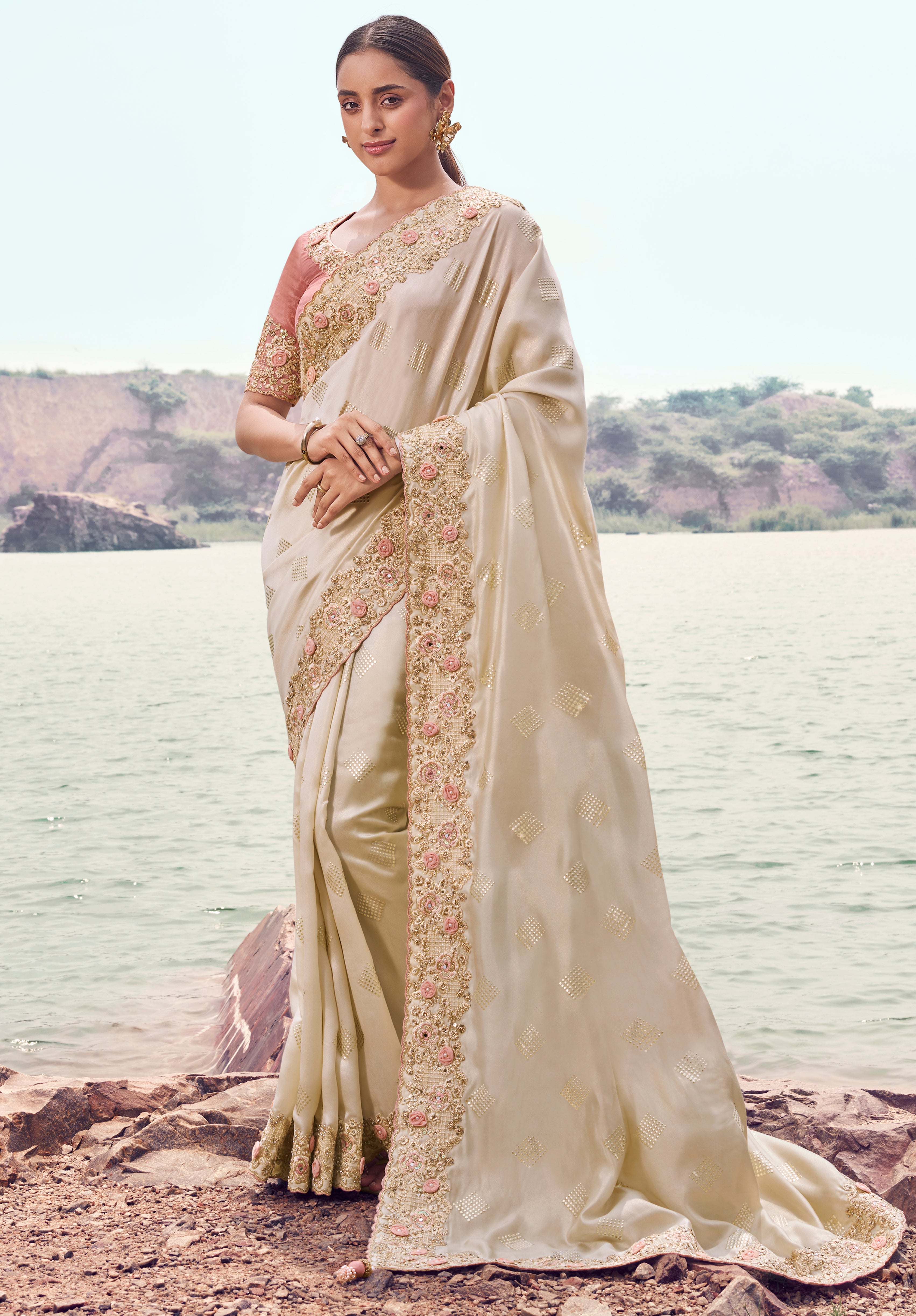 Chiku Saree With Fancy Work saree With Embroidered Border & Blouse