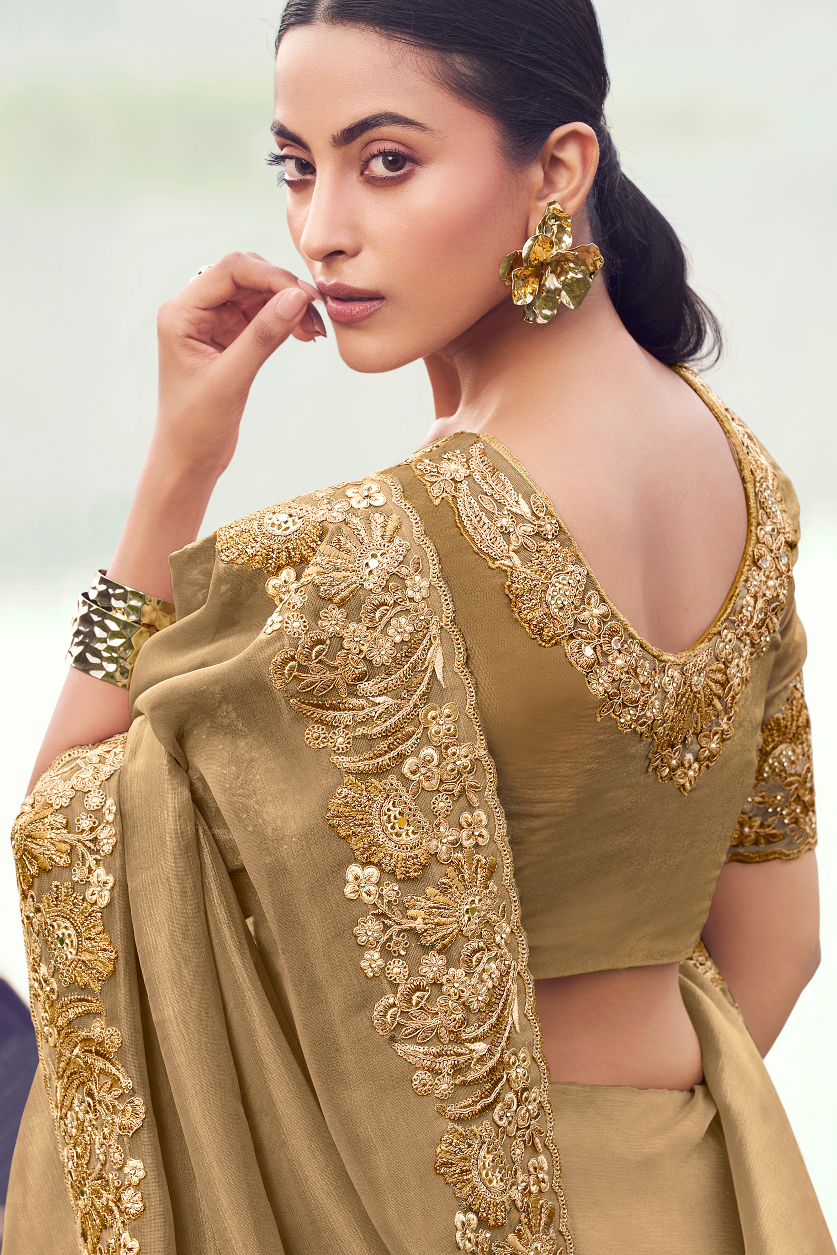 Chiku Saree With Heavy Thread Embroidered With Sequins Work