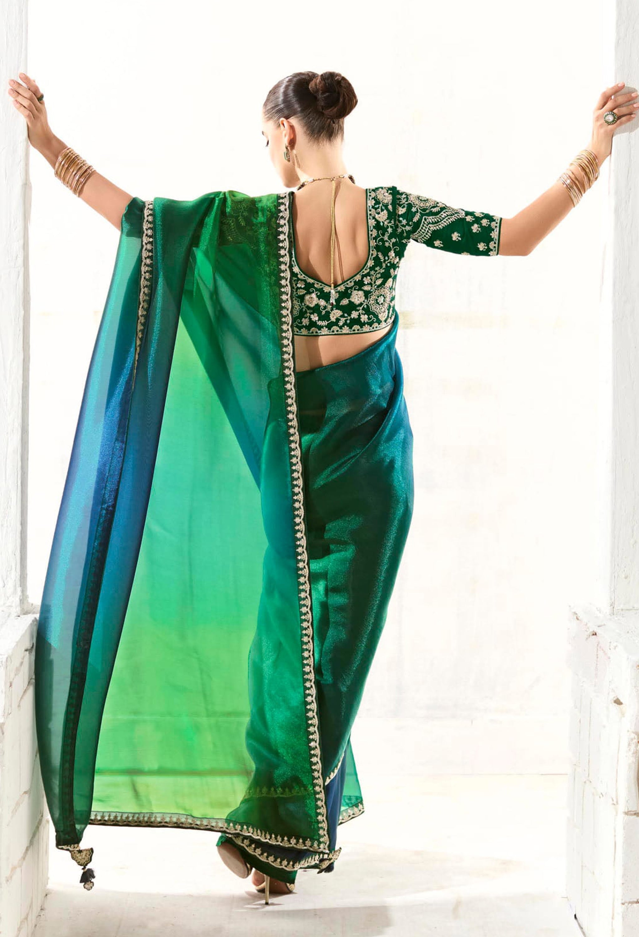 Multicolor Organza Tissue Saree With Heavy Work Border With Embroidered Blouse