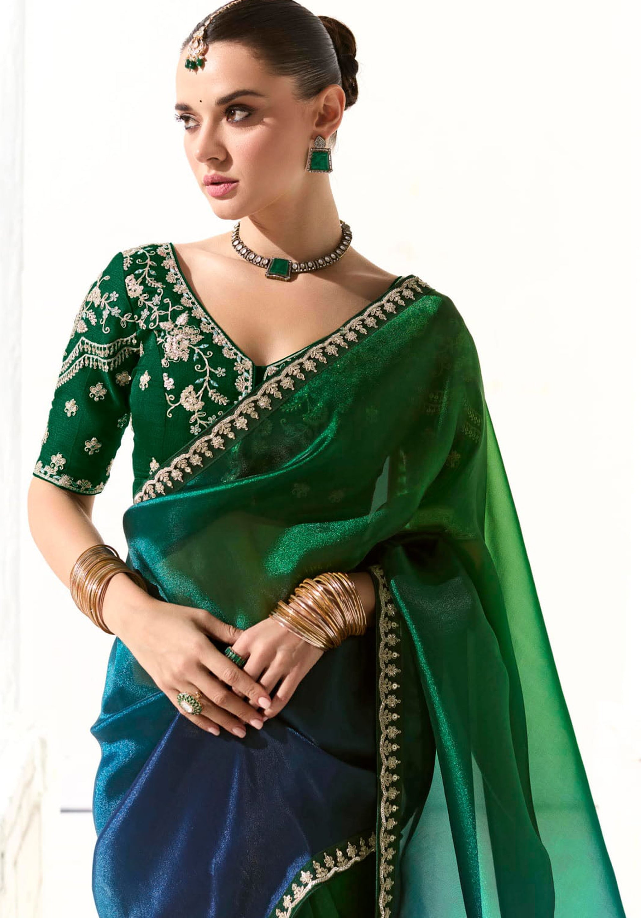 Multicolor Organza Tissue Saree With Heavy Work Border With Embroidered Blouse