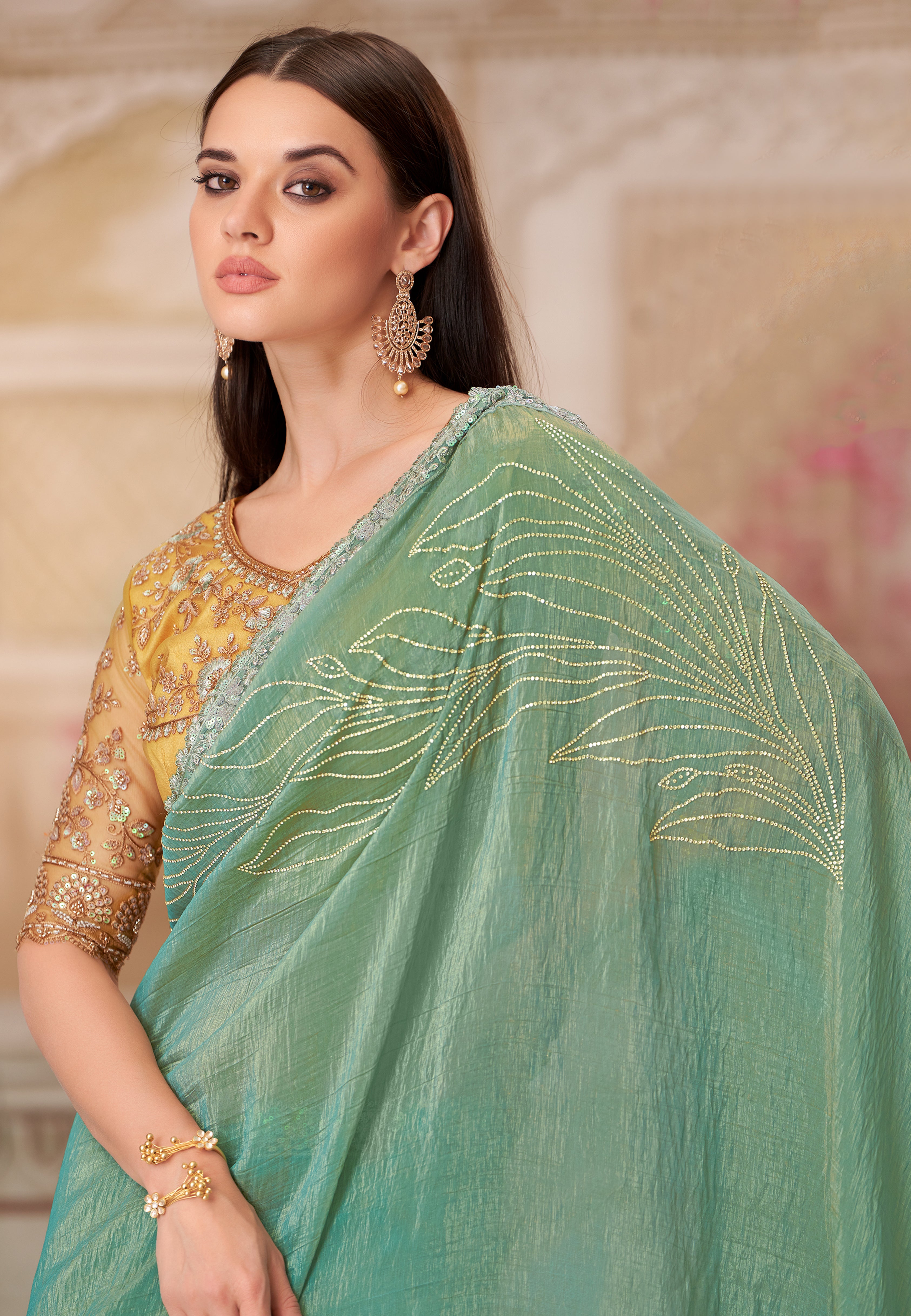 Pista Green Saree With Heavy Thread Embroidery, Stone Sequins Border Work With Embroidery Blouse