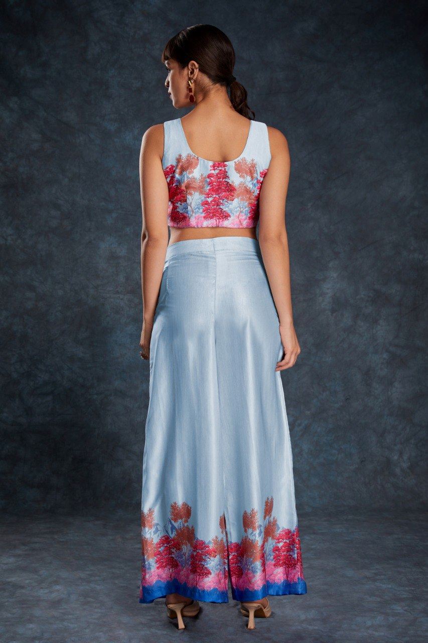Sky Blue Co-Ord Set  with Printed Work