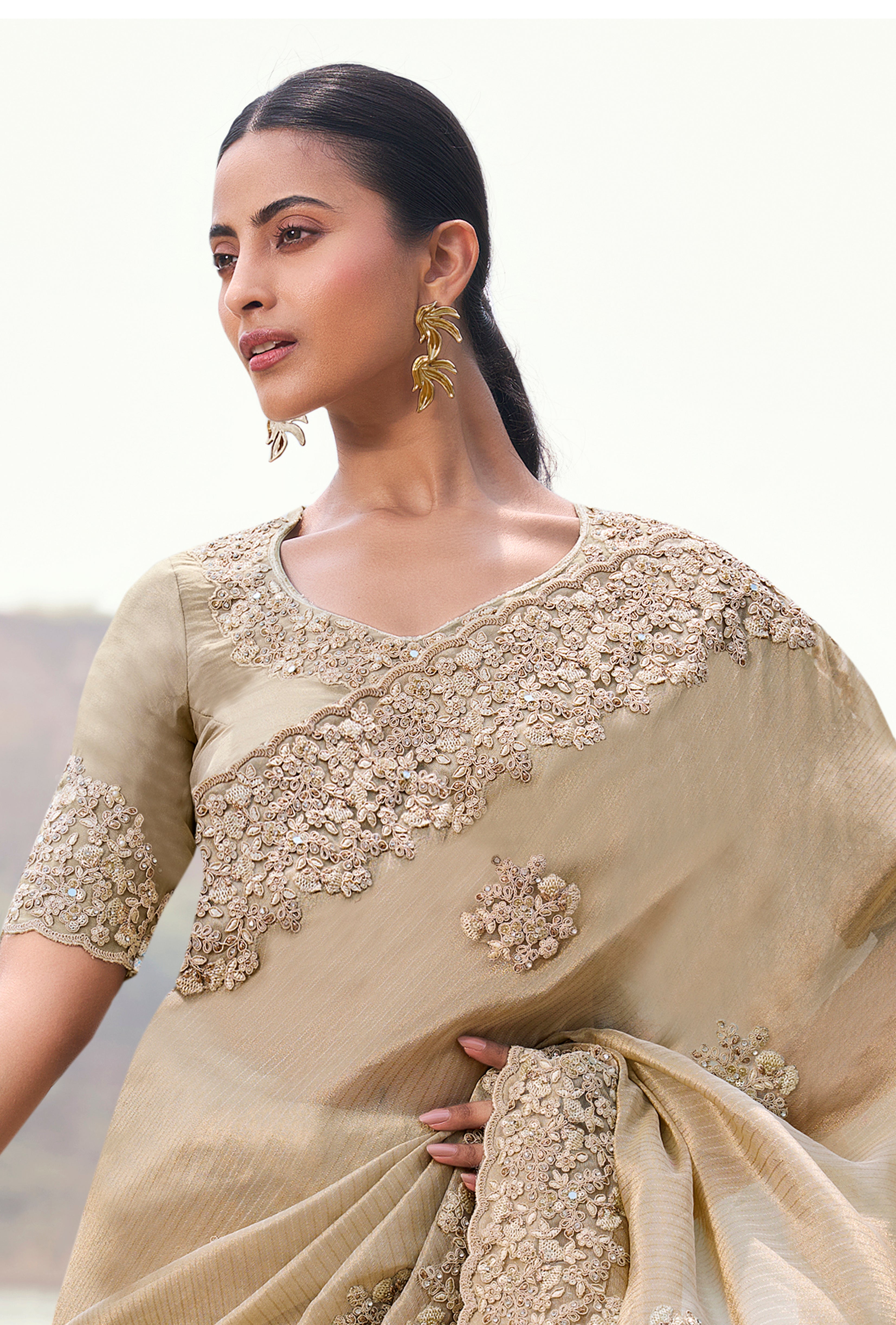 Beige Saree With  Heavy Thread Embroidered With Sequins Work