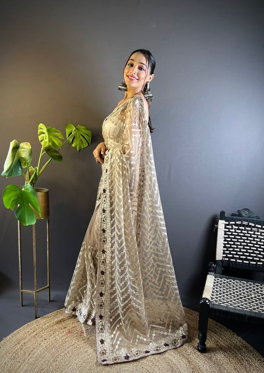 Chiku Colour Butterfly Net Embrodiery Work Saree