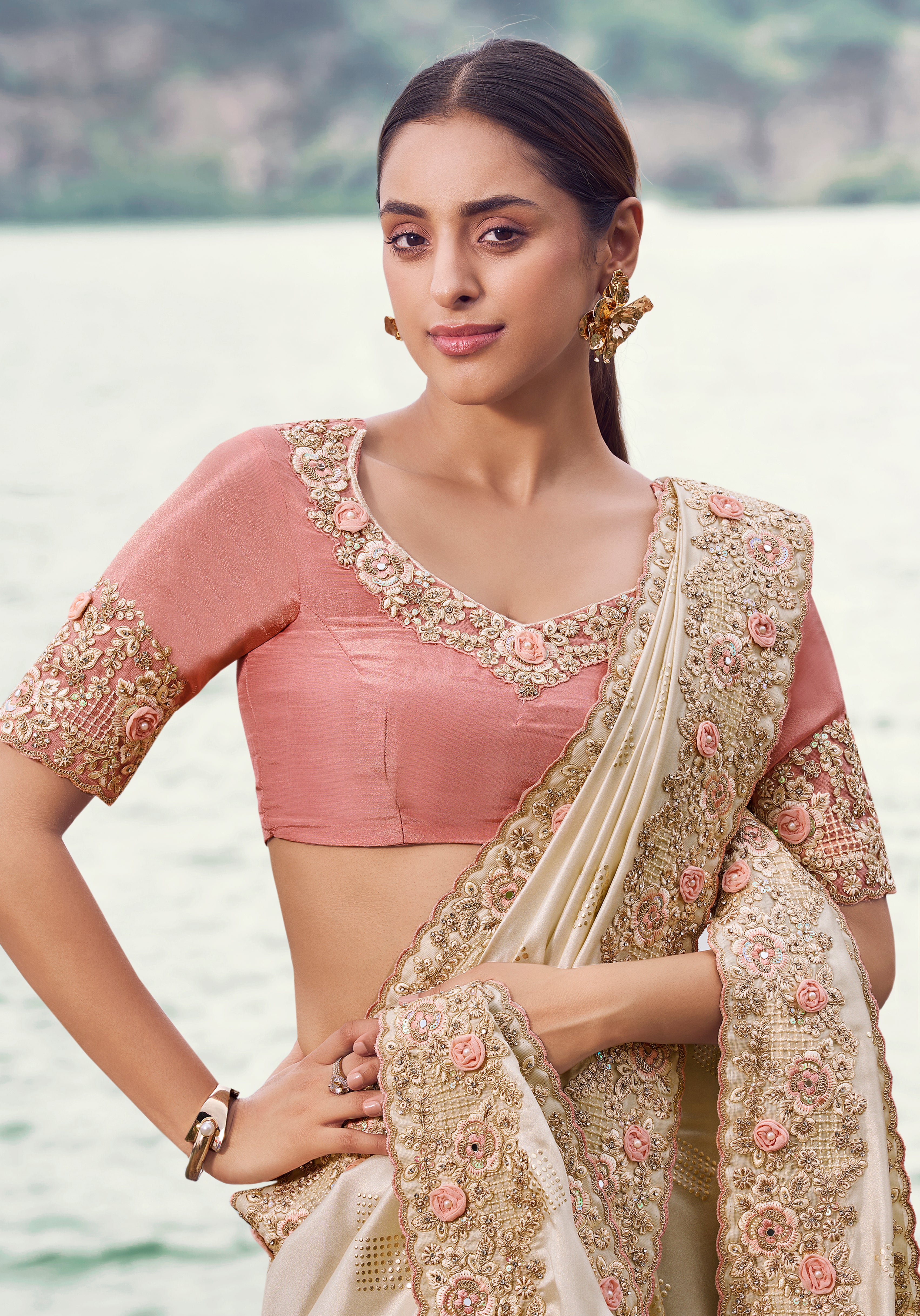 Chiku Saree With  Fancy Work saree With Embroidered Border & Blouse