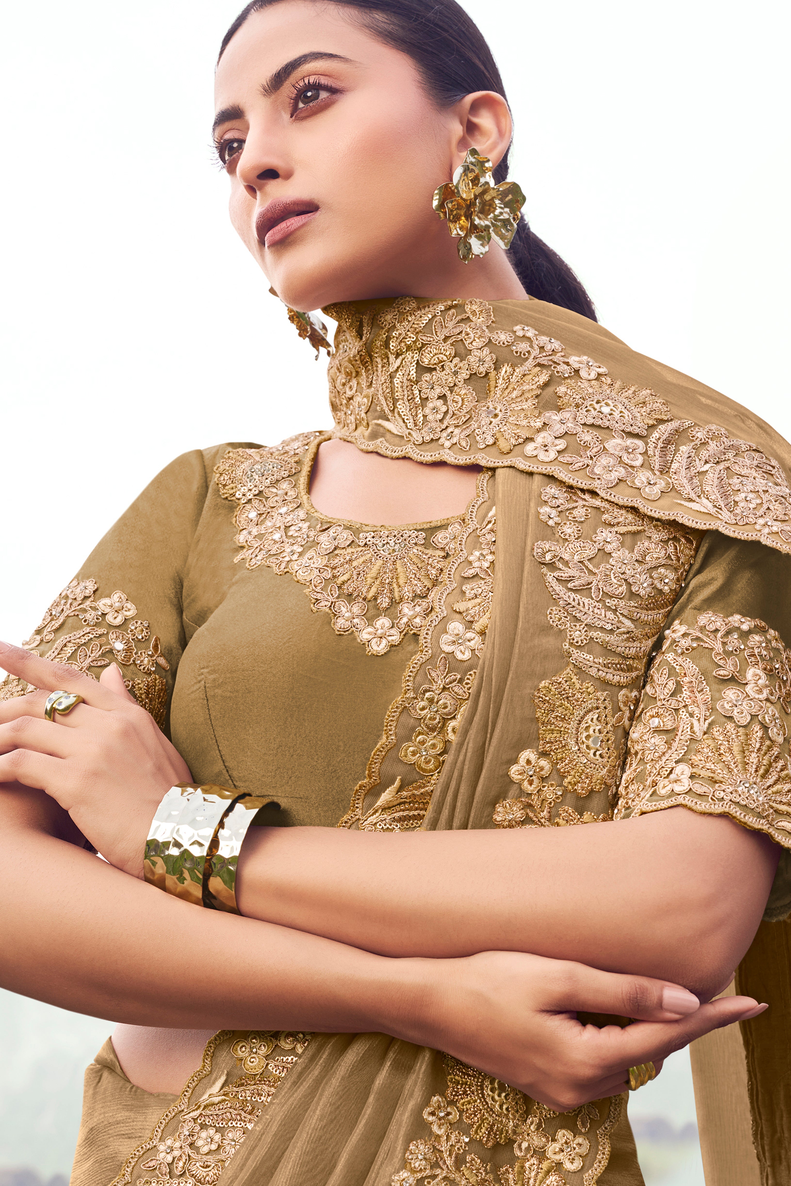 Chiku Saree With  Heavy Thread Embroidered With Sequins Work
