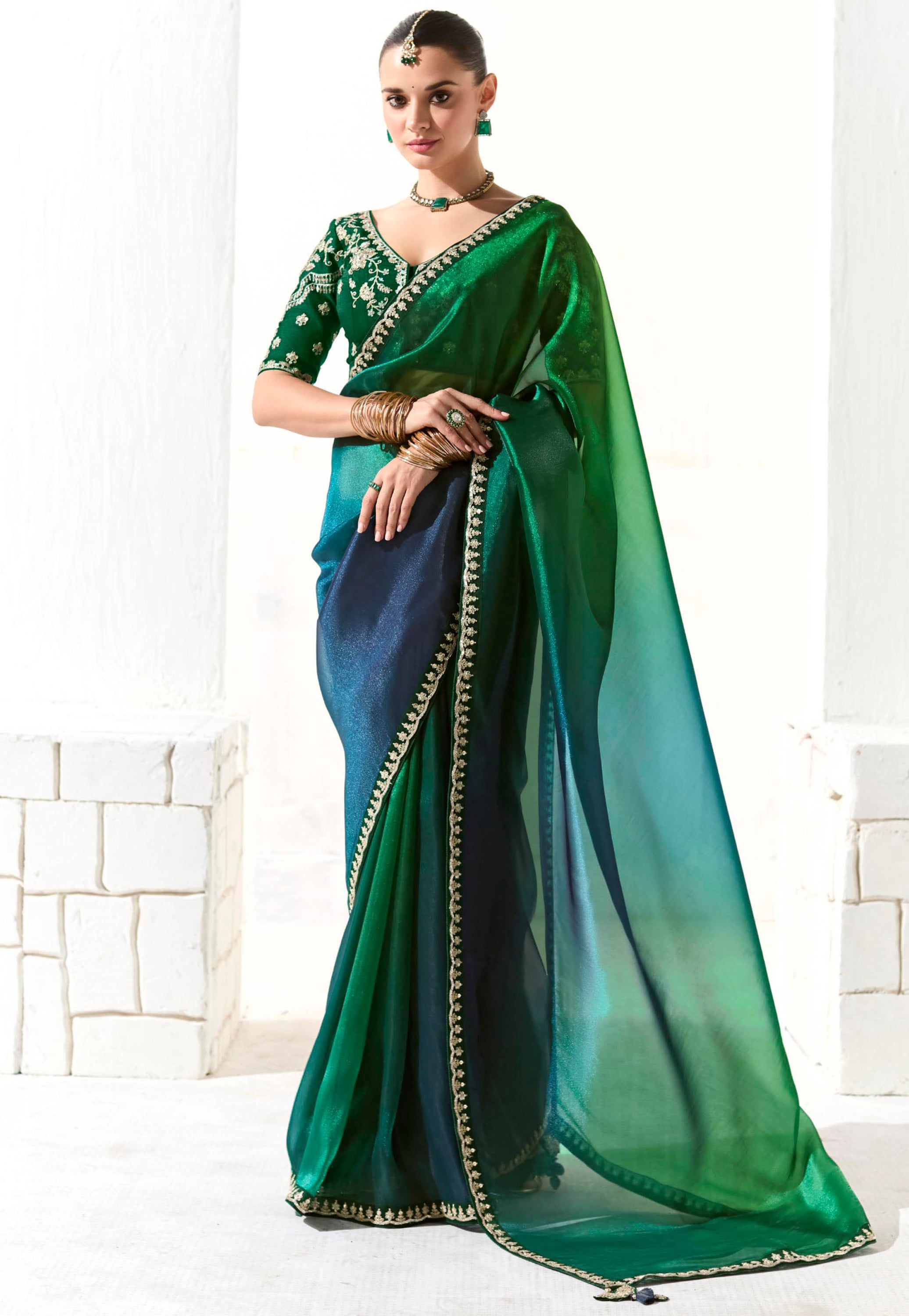 Multicolor Organza Tissue Saree With  Heavy Work Border With Embroidered Blouse