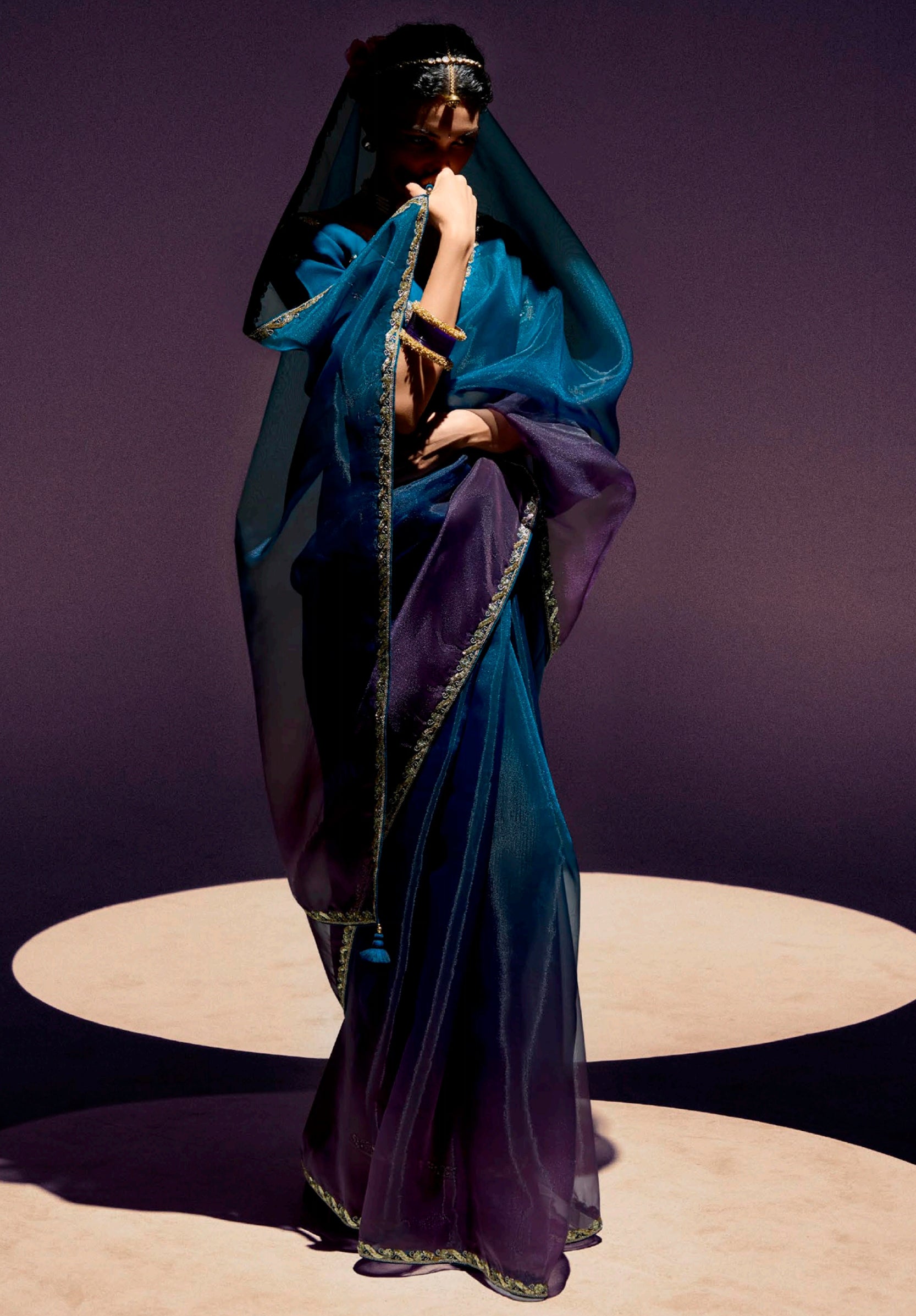 Multicolor Tissue Saree with Embroidered Blouse