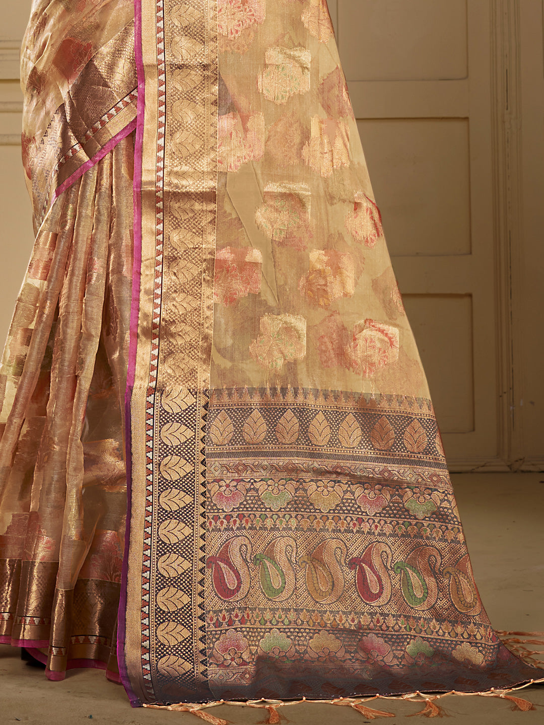 ORGANZA Saree