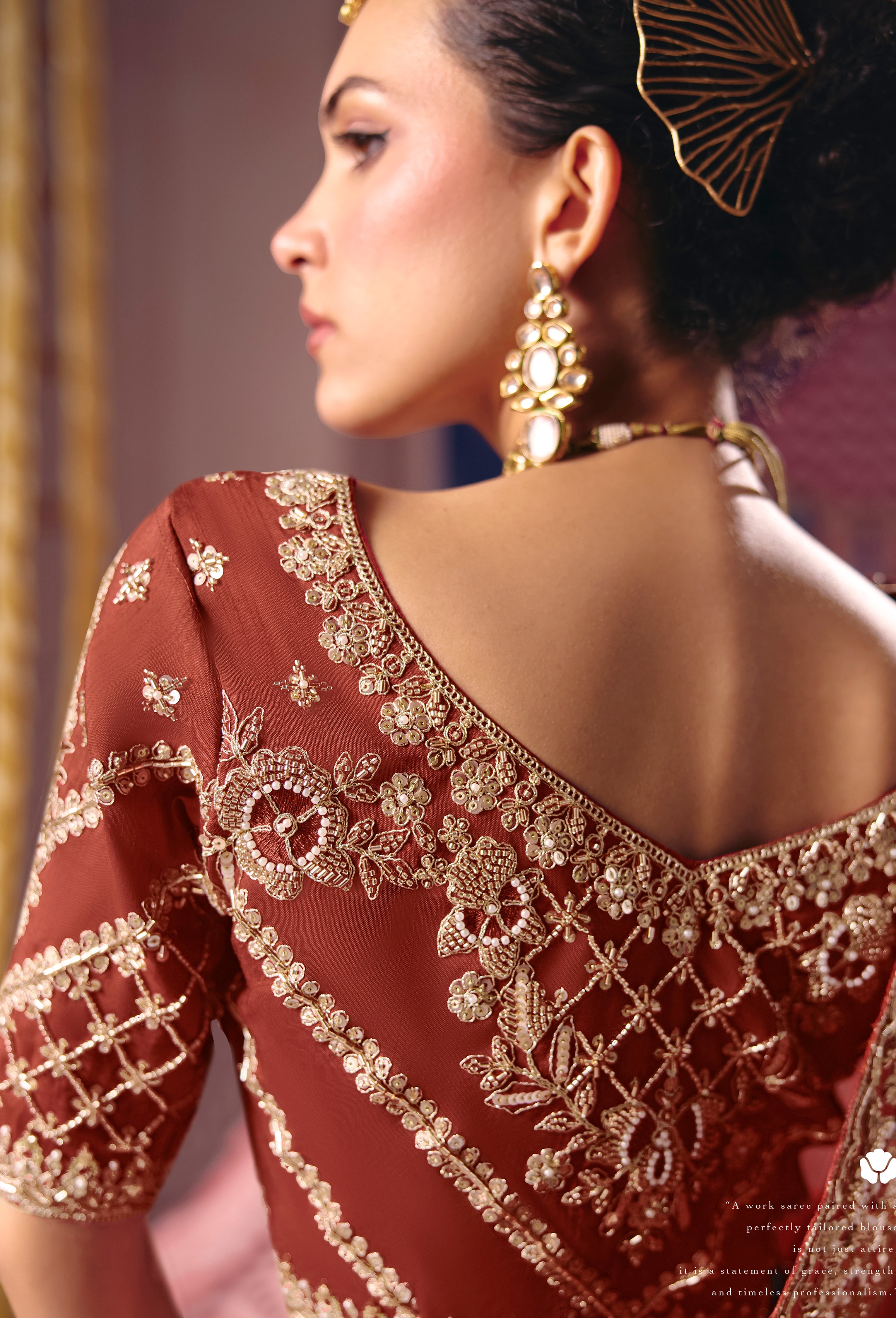 Rust Saree With  Heavy Embroidery, Beads With Sequince Work