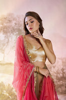 Rust Twill Net Solid Fancy Designer Bollywood Style Saree